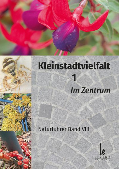 Kleinstadtvielfalt 1 – Im Zentrum